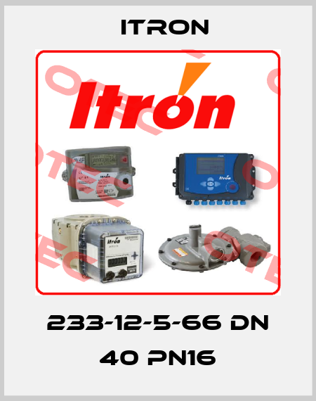 233-12-5-66 DN 40 PN16 Itron