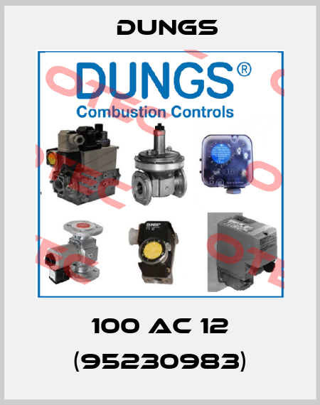 100 AC 12 (95230983) Dungs