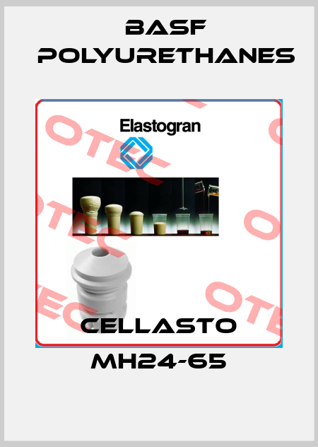 CELLASTO MH24-65 BASF Polyurethanes