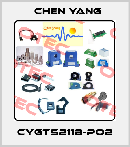 CYGTS211B-PO2 Chen Yang