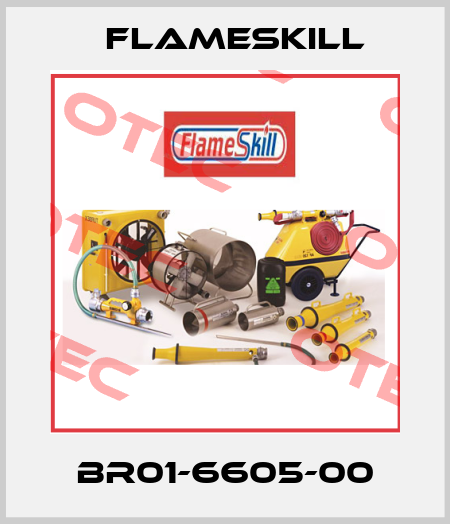 BR01-6605-00 FlameSkill