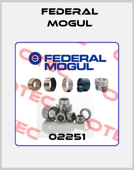 02251 Federal Mogul