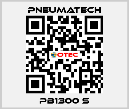 PB1300 S Pneumatech