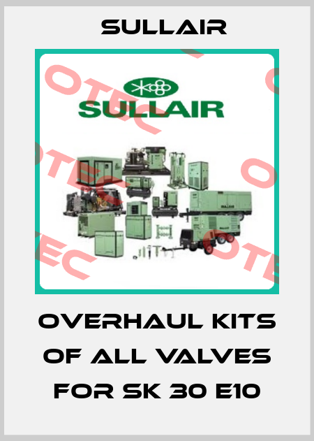 Overhaul kits of all valves for SK 30 E10 Sullair