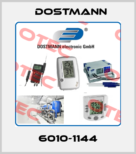 6010-1144 Dostmann