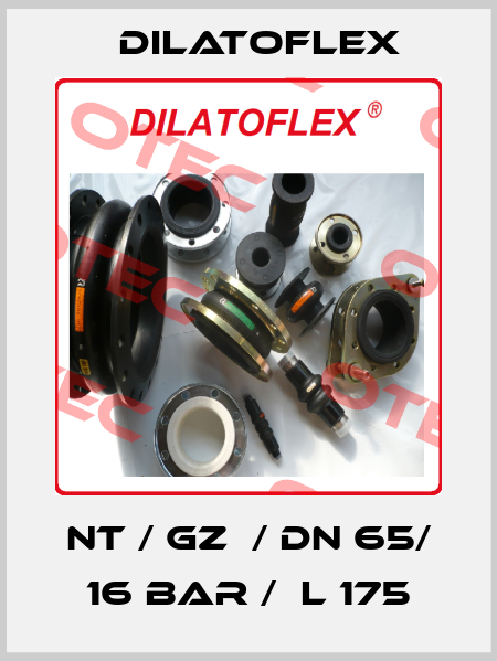 NT / GZ  / DN 65/ 16 BAR /  L 175 DILATOFLEX