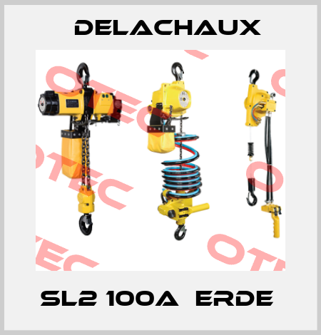 SL2 100A  ERDE  Delachaux