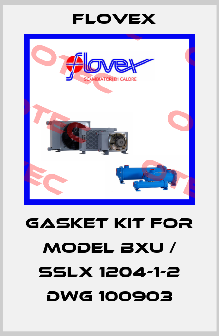 Gasket kit for model BXU / SSLX 1204-1-2 dwg 100903 Flovex