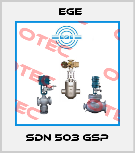 SDN 503 GSP Ege