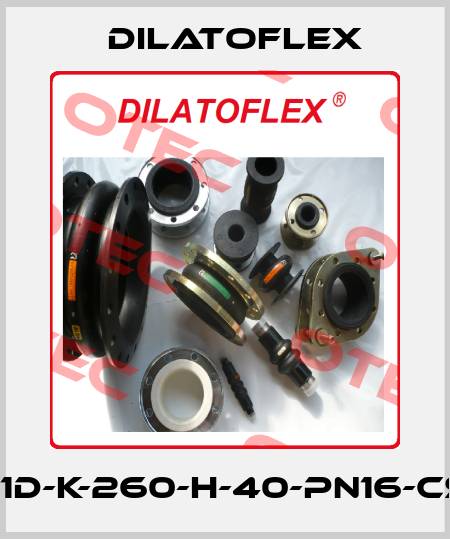 ED6061D-K-260-H-40-PN16-CS-MAR DILATOFLEX