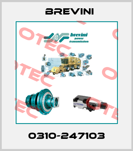 0310-247103 Brevini