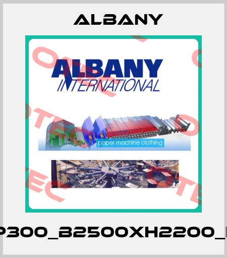 RP300_B2500xH2200_LH Albany