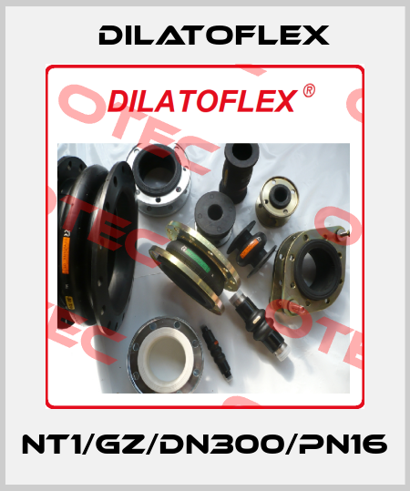 NT1/GZ/DN300/PN16 DILATOFLEX