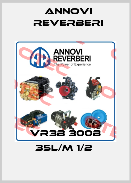 VR3B 300B 35L/M 1/2  Annovi Reverberi
