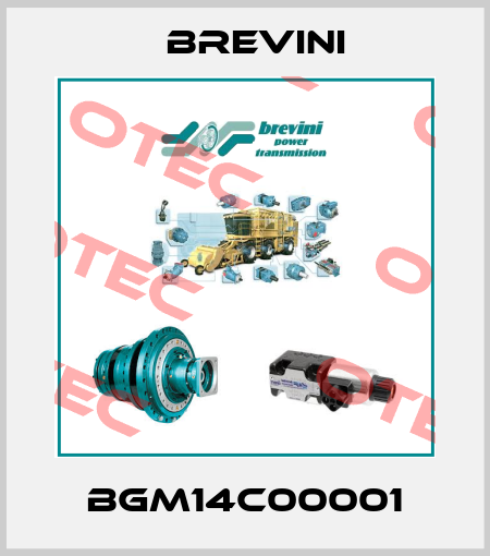 BGM14C00001 Brevini