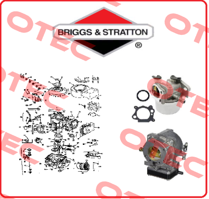 Cylinder block for 1169-A1 Briggs-Stratton