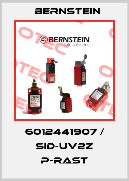 6012441907 / SID-UV2Z P-RAST Bernstein