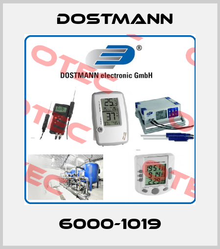6000-1019 Dostmann