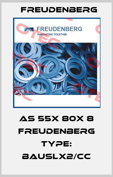 As 55x 80x 8 Freudenberg type: BAUSLX2/CC Freudenberg