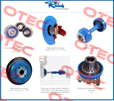 AC-T5.NT RUBBER ELEMENT Reich Kupplungen