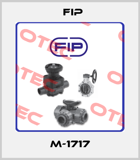 M-1717 Fip