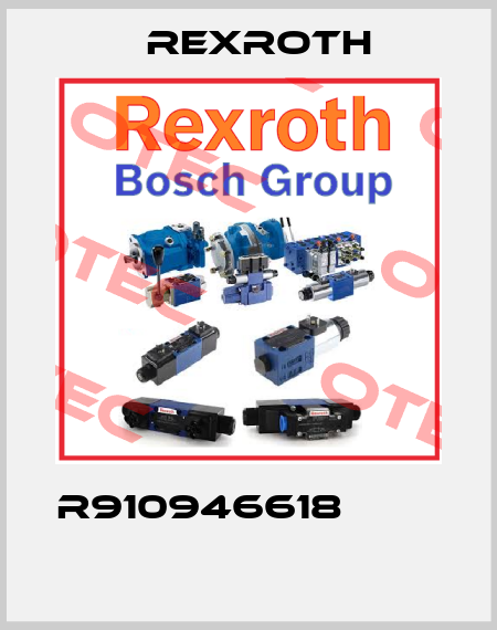 R910946618             Rexroth
