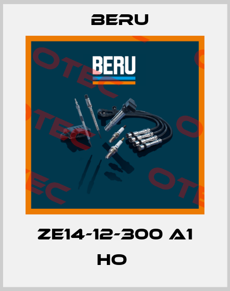 ZE14-12-300 A1 HO  Beru