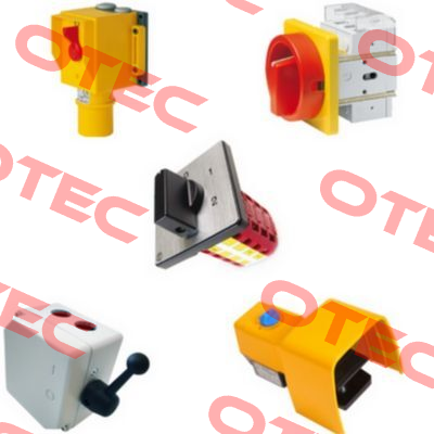 P/N: Type: S3N 013/HS-F3-D-SS Elektra Tailfingen