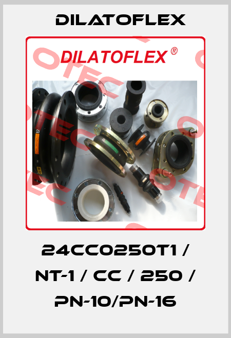 24CC0250T1 / NT-1 / CC / 250 / PN-10/PN-16 DILATOFLEX