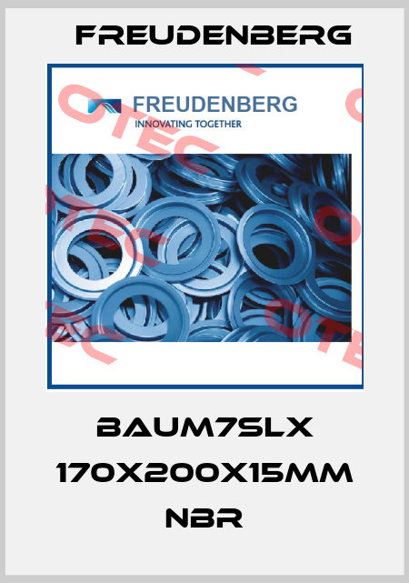 BAUM7SLX 170x200x15mm NBR Freudenberg