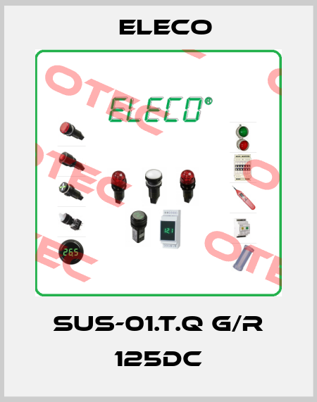 SUS-01.T.Q G/R 125DC Eleco