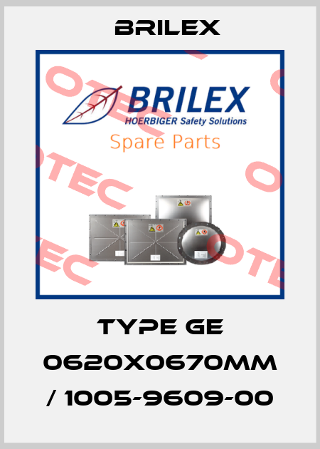 Type GE 0620x0670mm / 1005-9609-00 Brilex