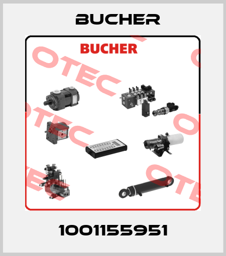 1001155951 Bucher