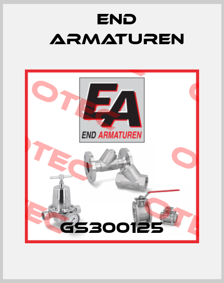 GS300125 End Armaturen