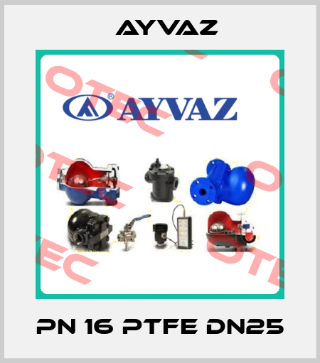 PN 16 PTFE DN25 Ayvaz