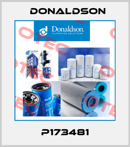 P173481 Donaldson