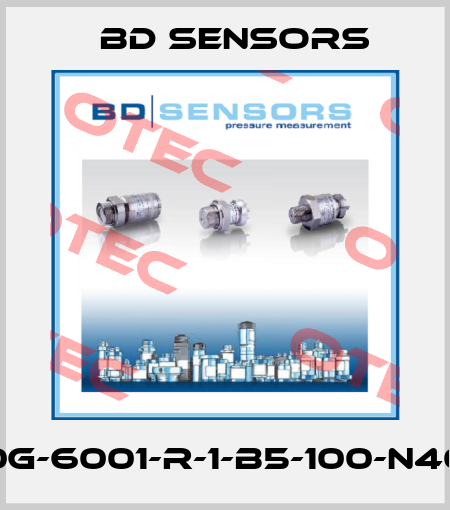 17.600G-6001-R-1-B5-100-N40-000 Bd Sensors