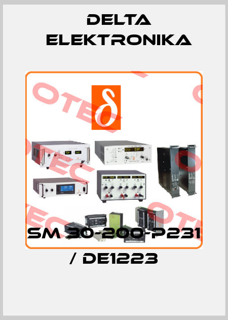 SM 30-200-P231 / DE1223 Delta Elektronika
