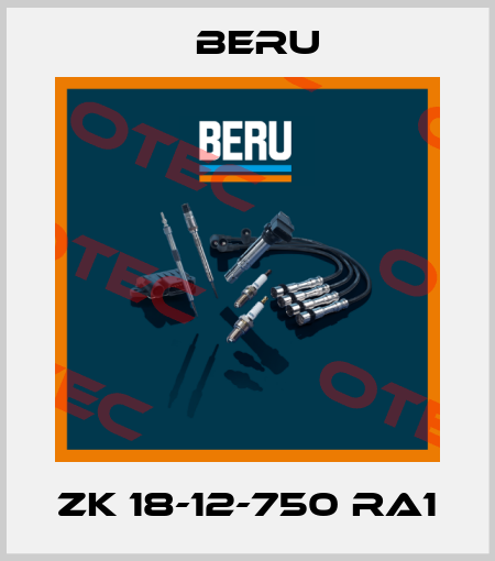 ZK 18-12-750 RA1 Beru