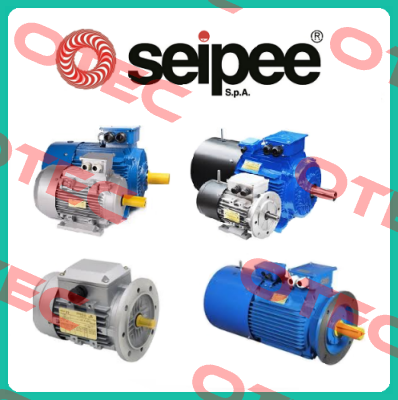 01231366 SEIPEE