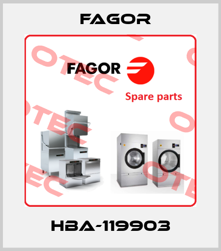 HBA-119903 Fagor