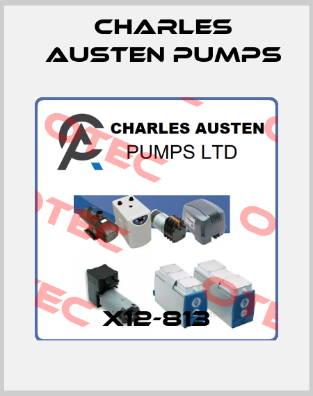X12-813 Charles Austen Pumps