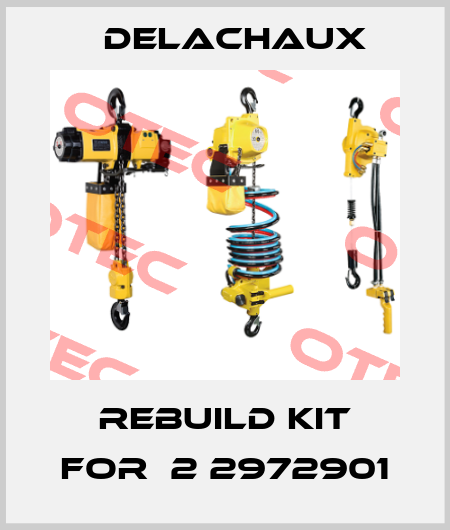 rebuild kit for  2 2972901 Delachaux