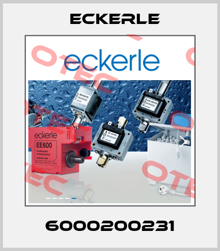 6000200231 Eckerle