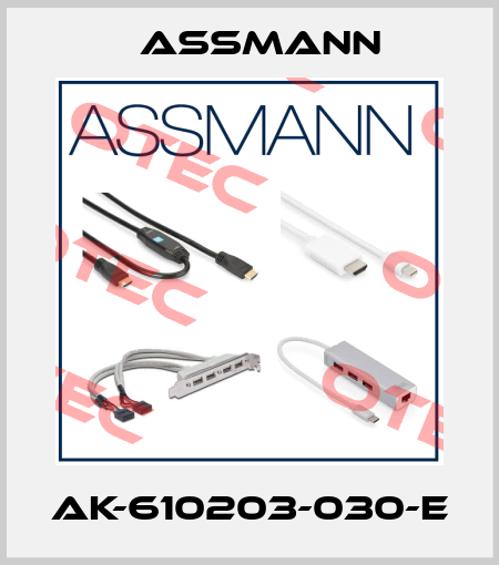 AK-610203-030-E Assmann