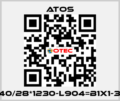 CK-40/28*1230-L904=B1X1-33-X Atos