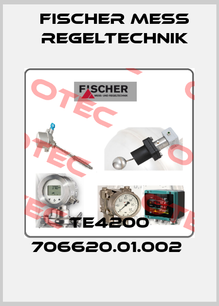 TE4200 706620.01.002  Fischer Mess Regeltechnik