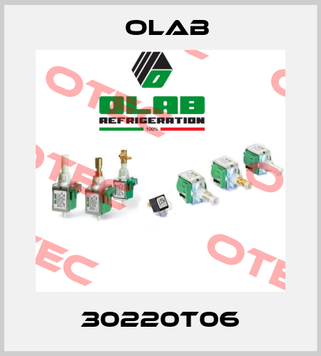30220T06 Olab