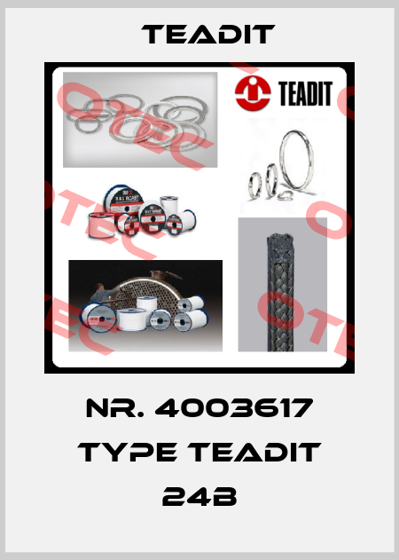 Nr. 4003617 Type Teadit 24B Teadit