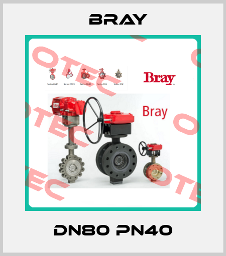DN80 PN40 Bray